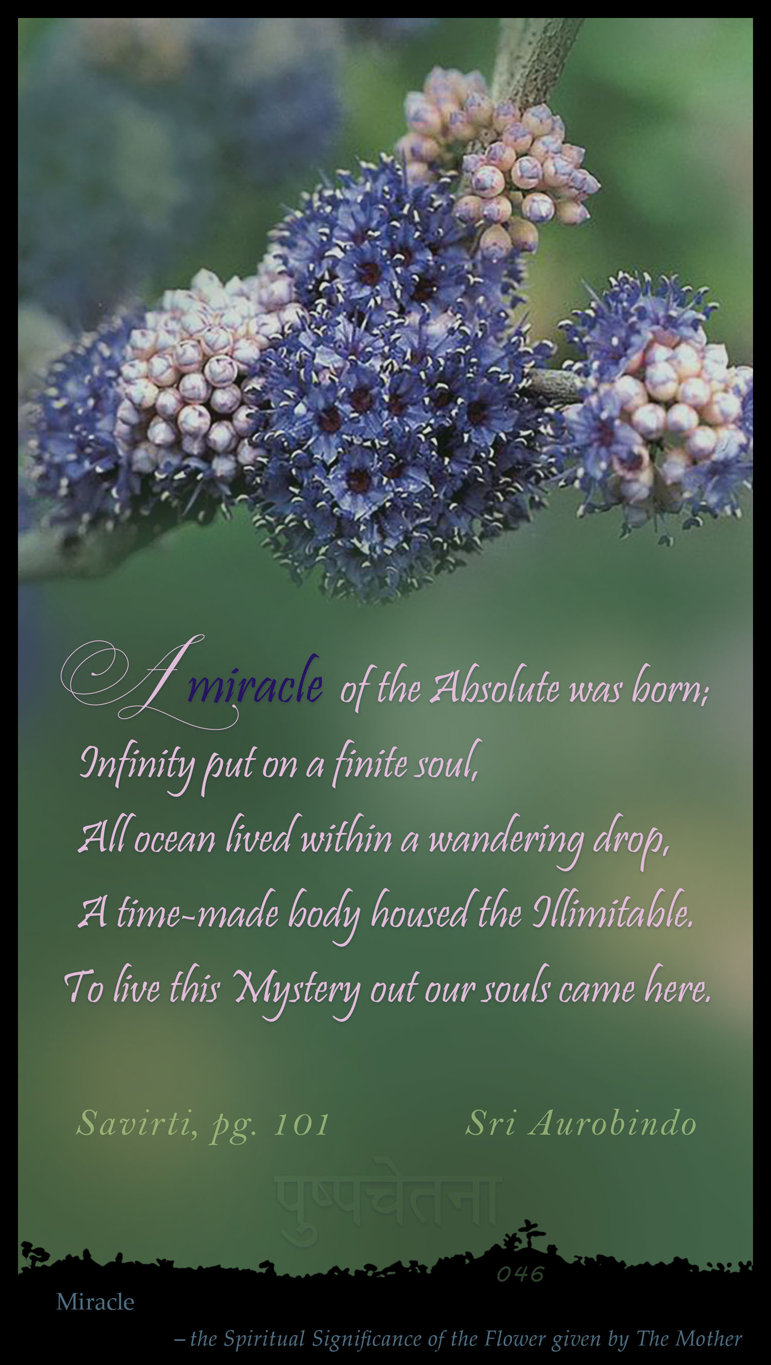 Miracle
